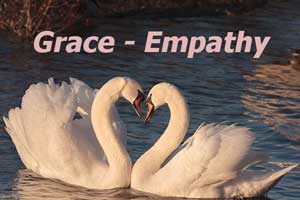 two pink swans labelled grace and empathy for marriage blog post